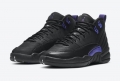 Air Jordan 12 Dark Concord