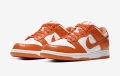 Nike Dunk Low Syracuse Orange White