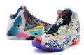 Nike LeBron 11 What The LeBron