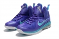 Nike LeBron 9 Summit Lake Hornets