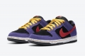 Nike SB Dunk Low ACG